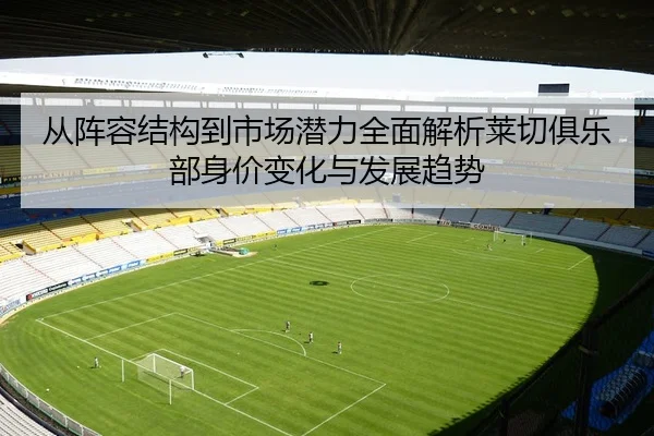 从阵容结构到市场潜力全面解析莱切俱乐部身价变化与发展趋势